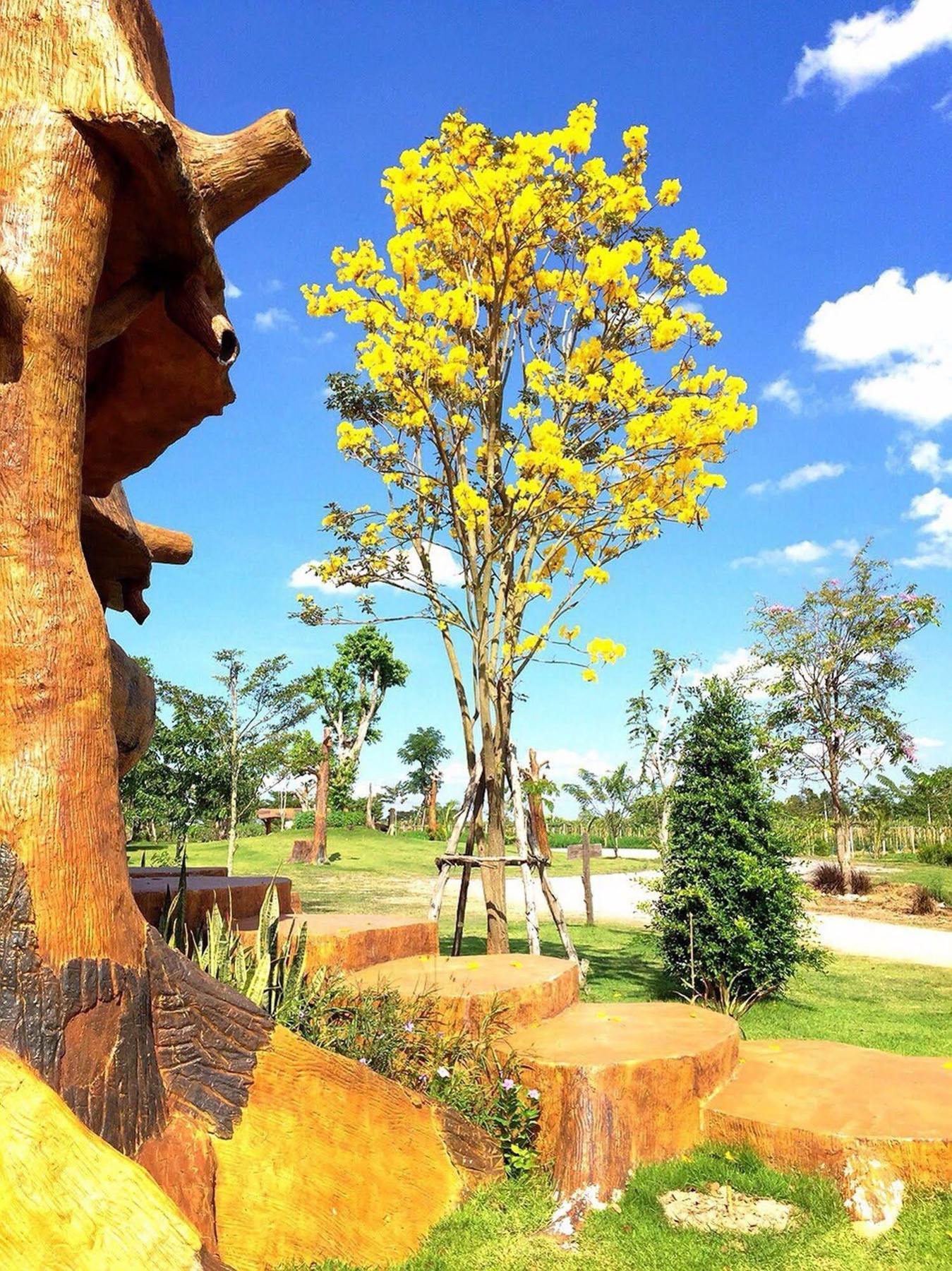 Timberland And Fruit Resort Pong Yo Ngoại thất bức ảnh